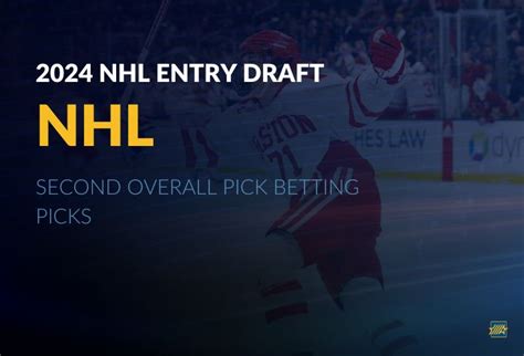 Top NHL Betting Sites, Apps and Odds for 2024